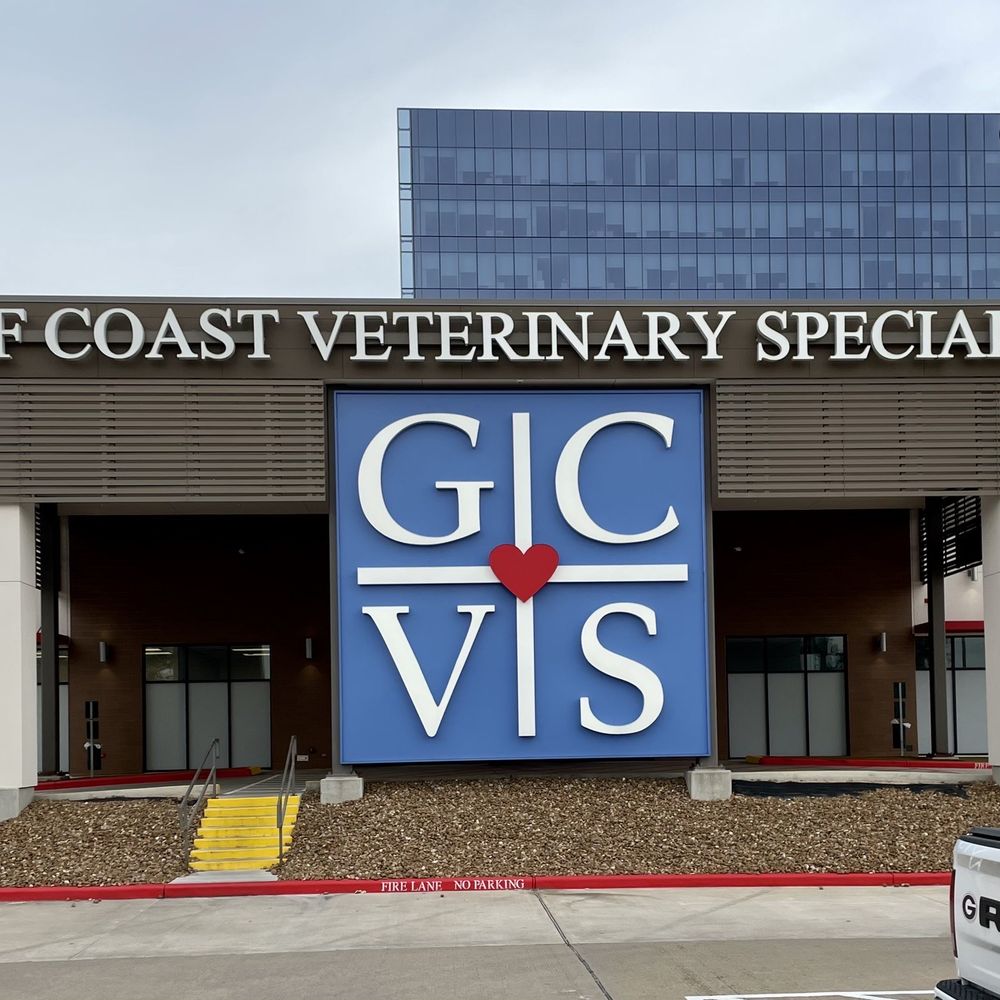 Top Emergency Veterinarians in Texas: A City-by-City Guide