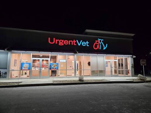 24/7 Emergency Vet Near Me: What to Do Before You Can Get There