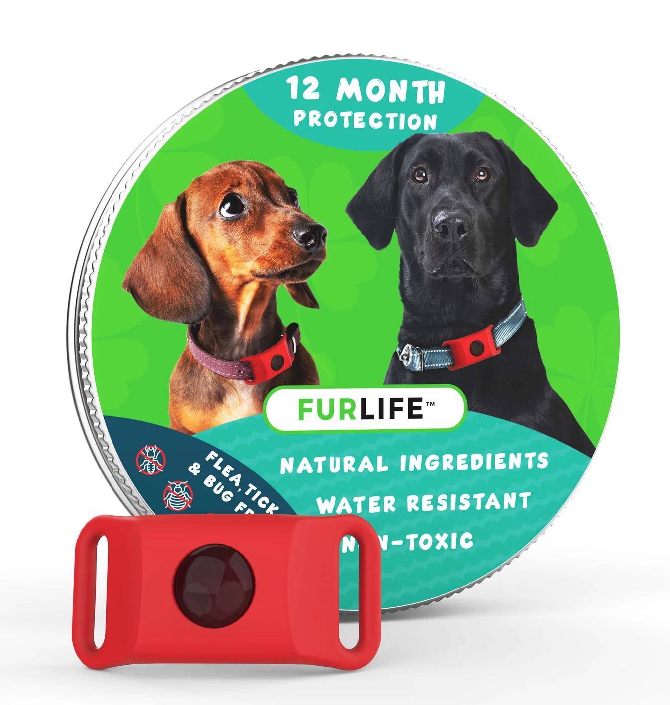 Why Flea, Tick & Heartworm Prevention Beats Treating It Later