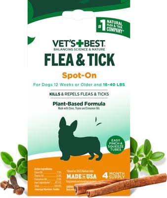 Flea & Tick Season Guide: What Pet Owners Need to Know