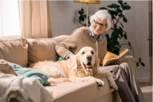 Managing Chronic Pain in Senior Pets: A Long-Term Medication Guide