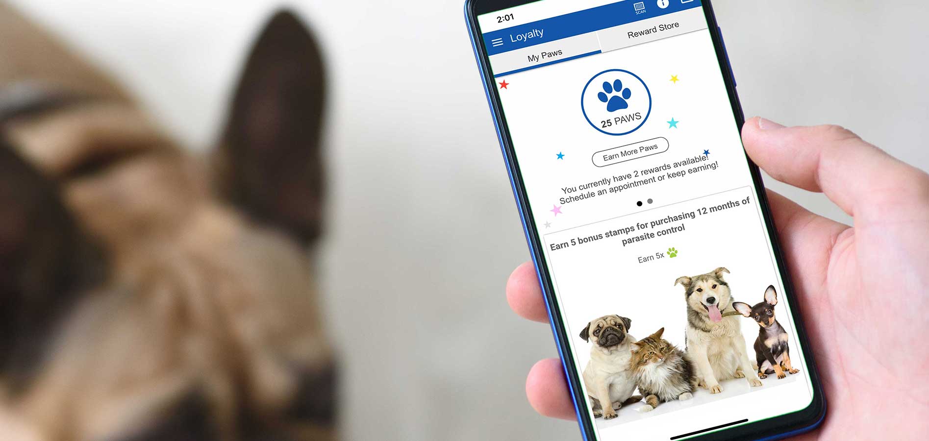 How to Stop Dreading Your Dog's Prescription Refills