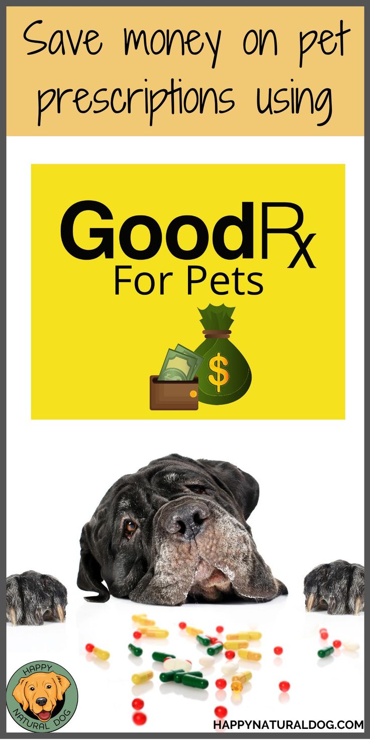 How to Save Money on Pet Medications Without Cutting Corners