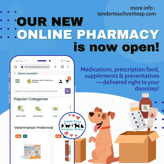Filling a Prescription at Your Vet's Clinic vs. Ordering Online